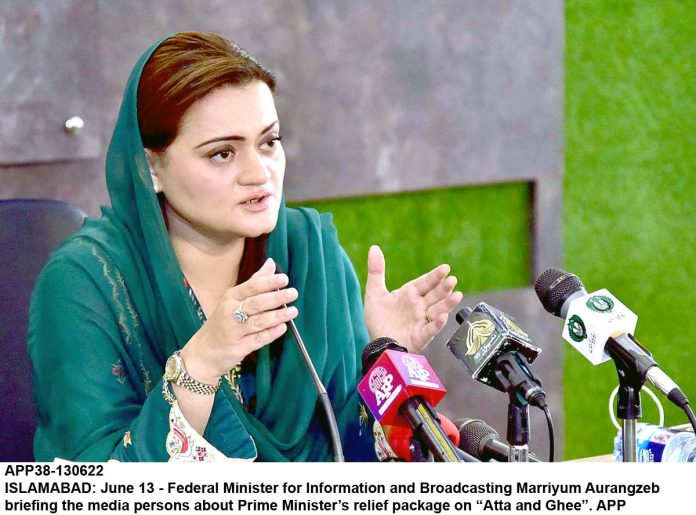 APP38-130622InfoMinister-Islamabad